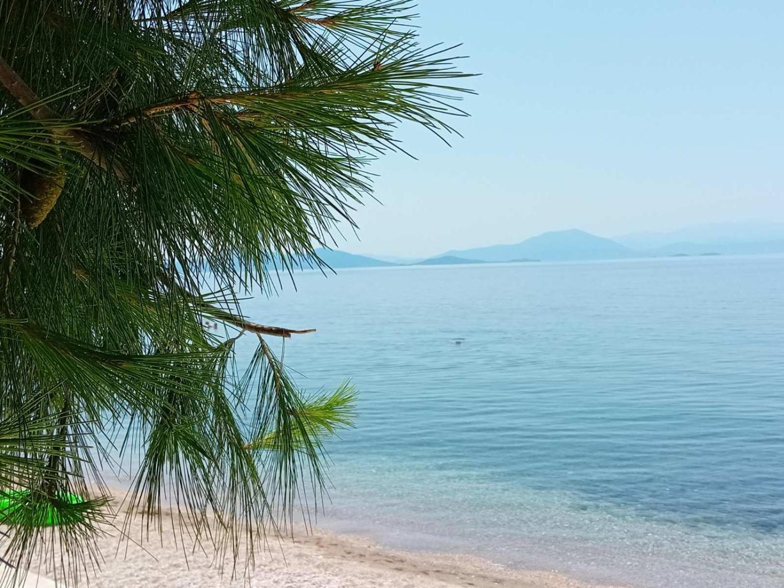 Christina'S Seaside Villa Áfissos Ngoại thất bức ảnh
